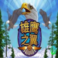 开放的用户反馈通道
